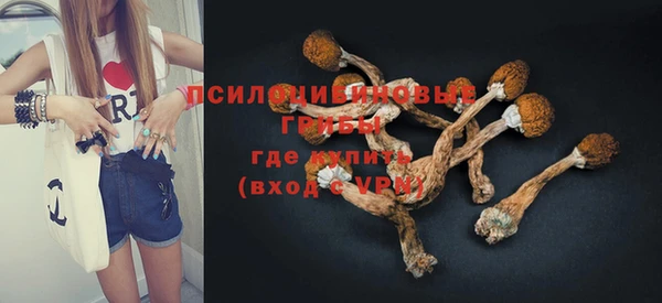 индика Баксан