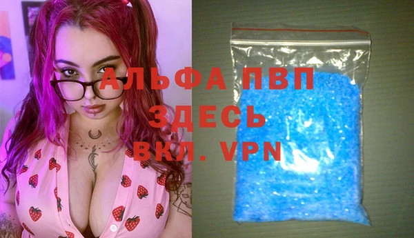 индика Баксан