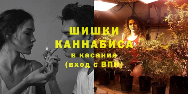 индика Баксан