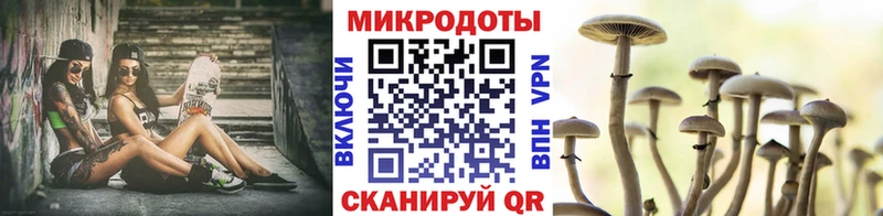 Галлюциногенные грибы Psilocybine cubensis  купить  цена  Буинск 